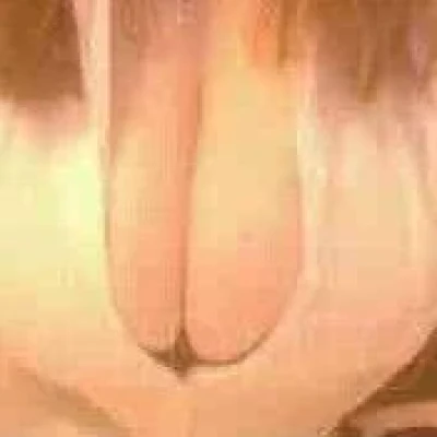 CurvaceousCaledonia